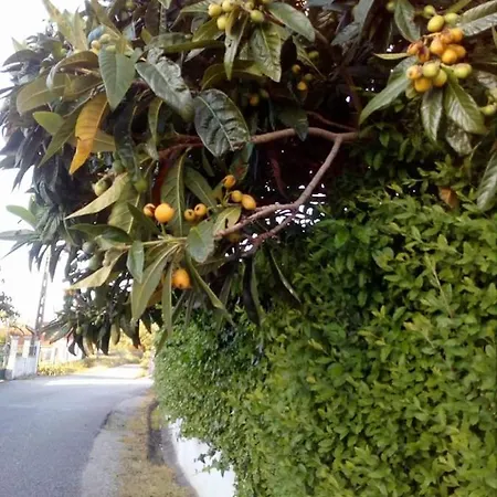 Casa Da Nespereira- Lugar Acolhedor Rodeado De Natureza Alloggio in famiglia Soure