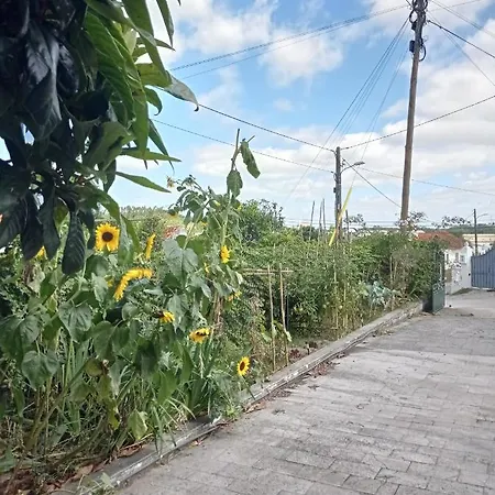 Casa Da Nespereira- Lugar Acolhedor Rodeado De Natureza * Soure