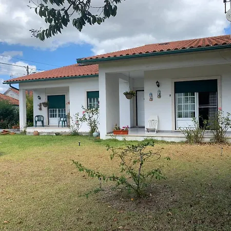 Casa Da Nespereira- Lugar Acolhedor Rodeado De Natureza ホームステイ