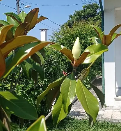 Casa Da Nespereira- Lugar Acolhedor Rodeado De Natureza *