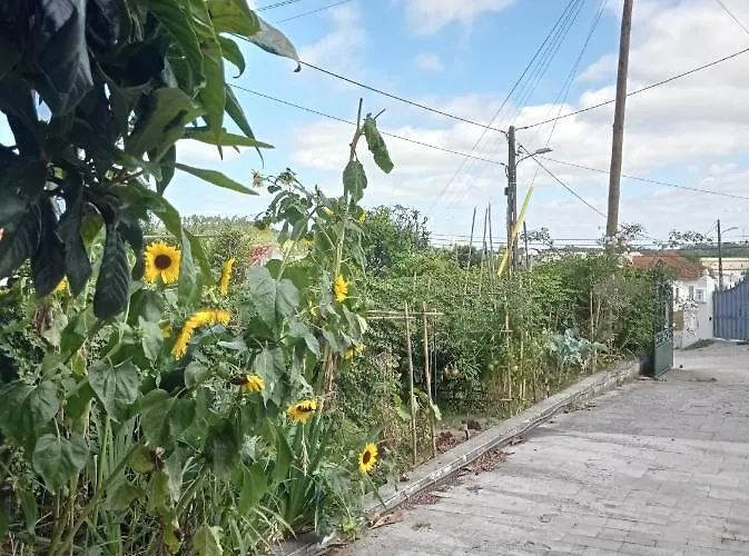 Casa Da Nespereira- Lugar Acolhedor Rodeado De Natureza * Soure