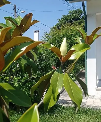 Casa Da Nespereira- Lugar Acolhedor Rodeado De Natureza *